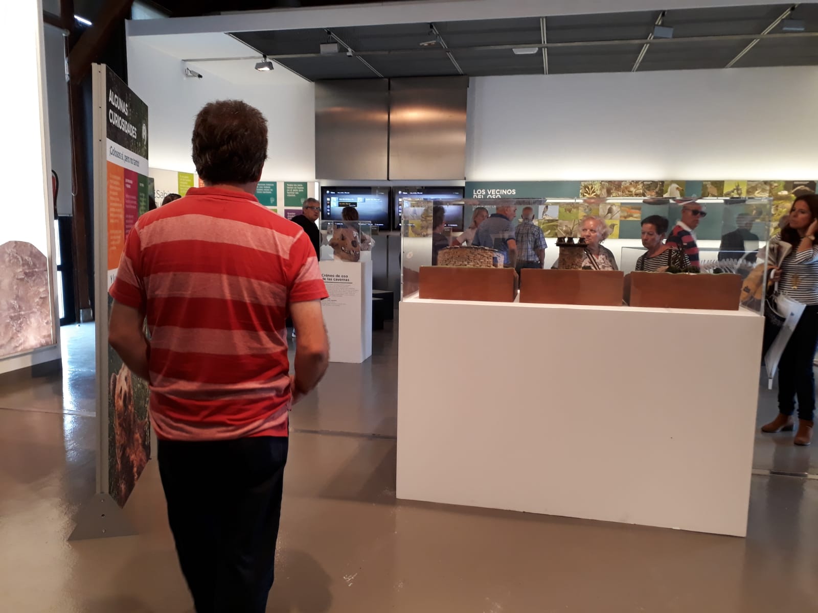 Más de 15.000 personas visitaron la exposición ‘Osos’ en Gijón